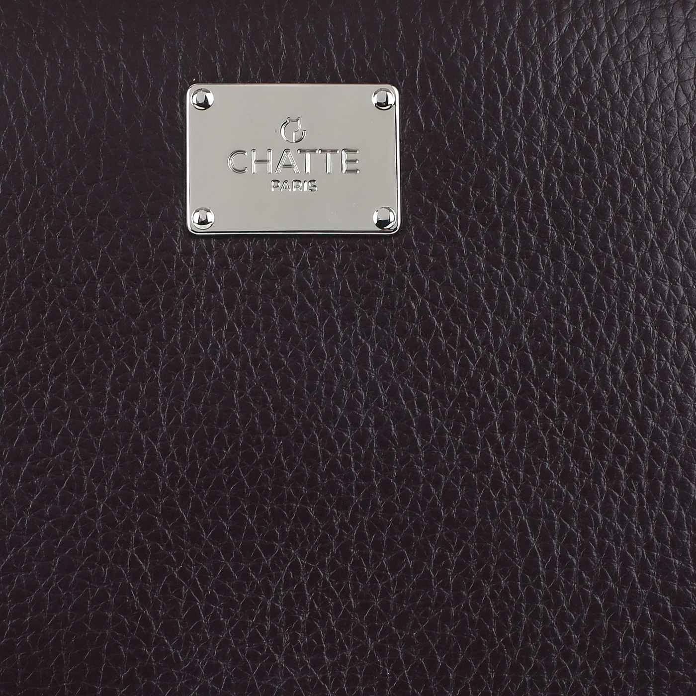 Рюкзак на молнии Chatte Lion