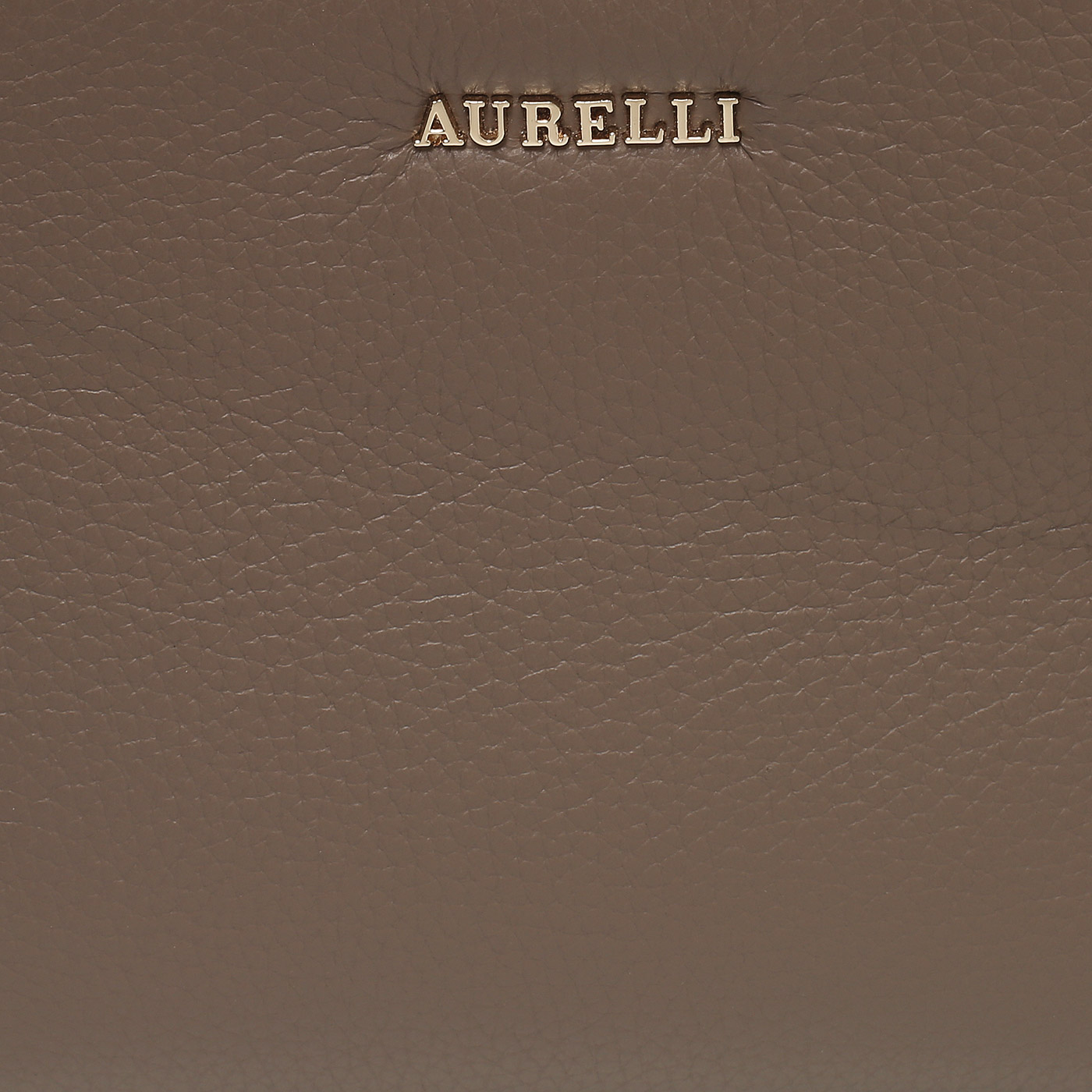 Кожаная сумка Aurelli Soft