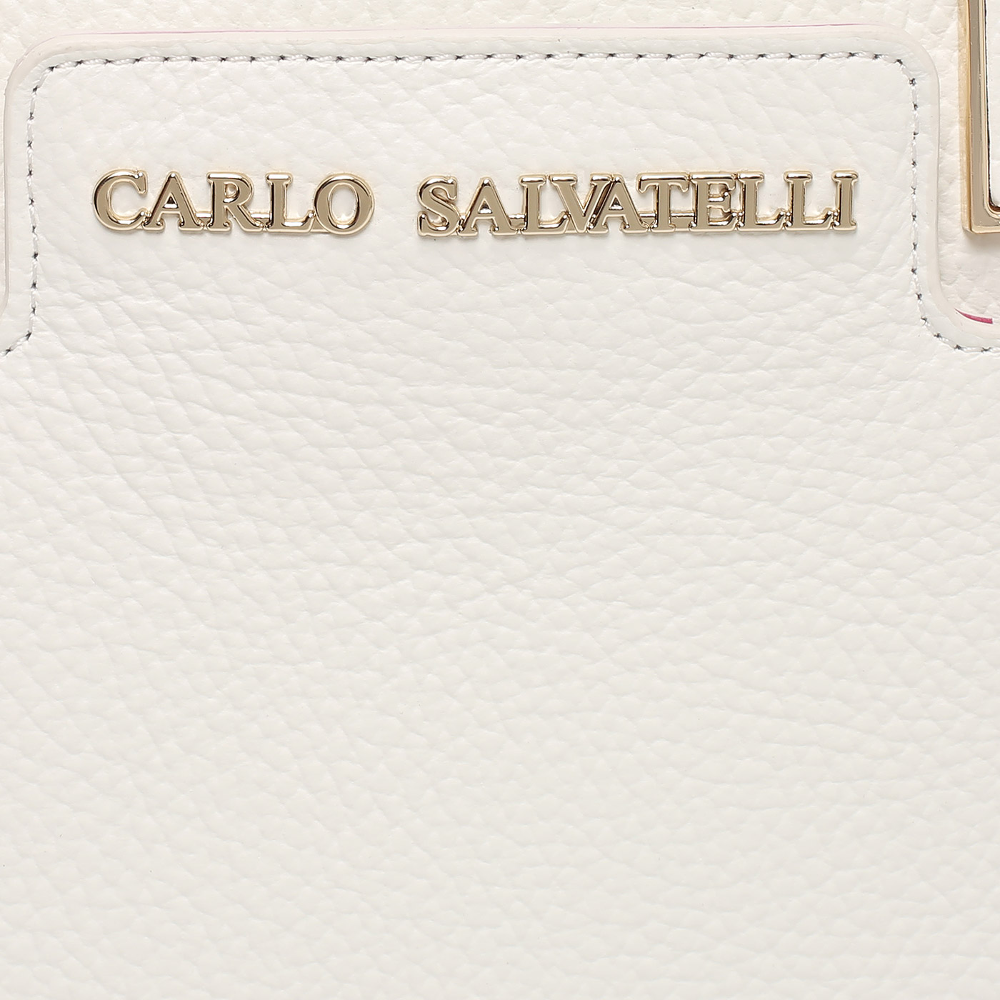 Кожаная сумка Carlo Salvatelli Swami gemma