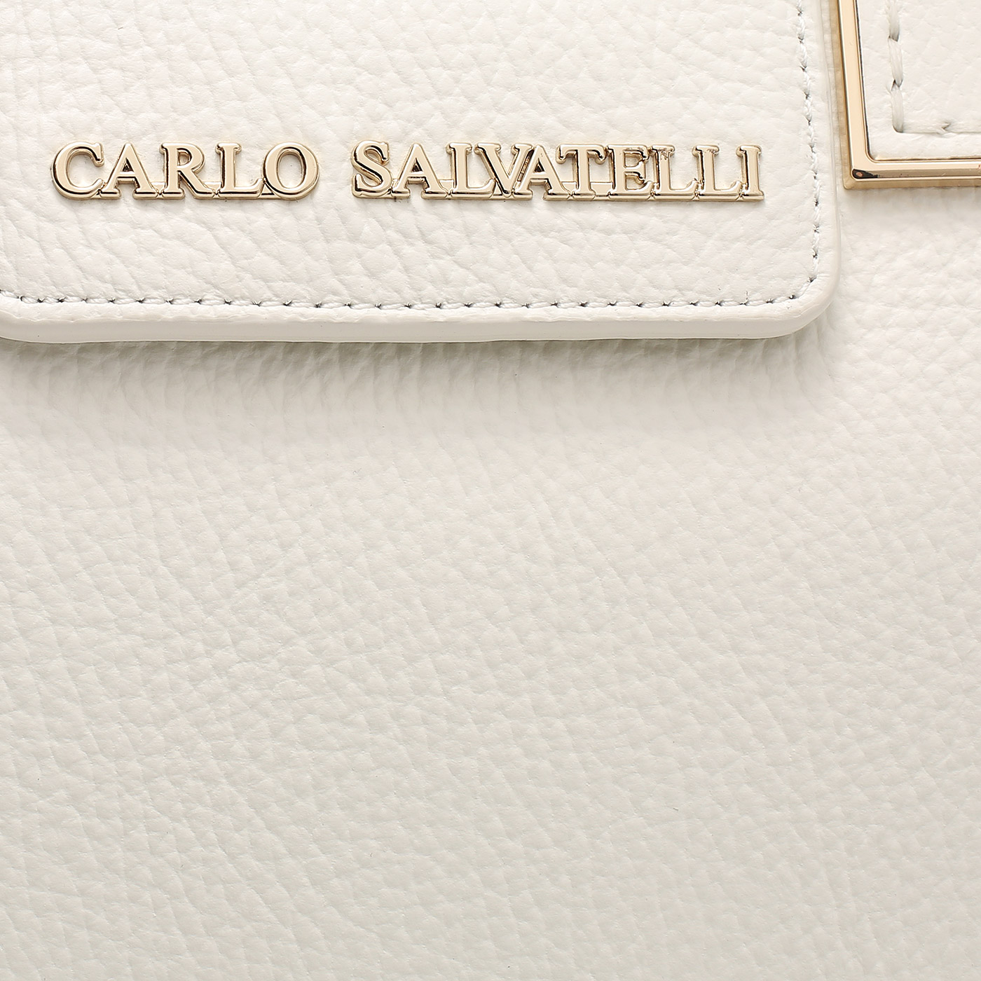 Кожаная сумка Carlo Salvatelli Swami gemma